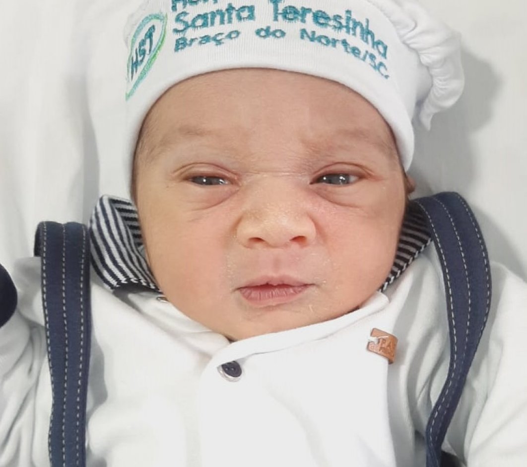 Matheus Henrique Menezes Santos