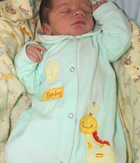 Enzo Gabriel Fernandes